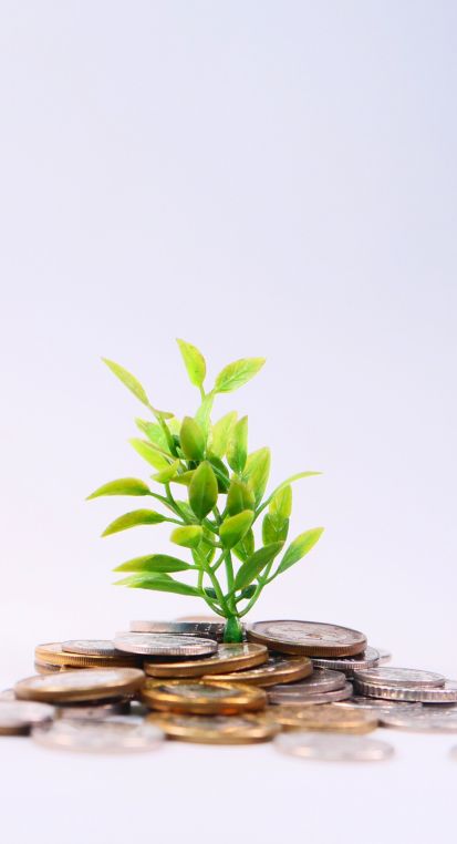 Een afbeelding van een plantje dat uit een hoopje munten groeit